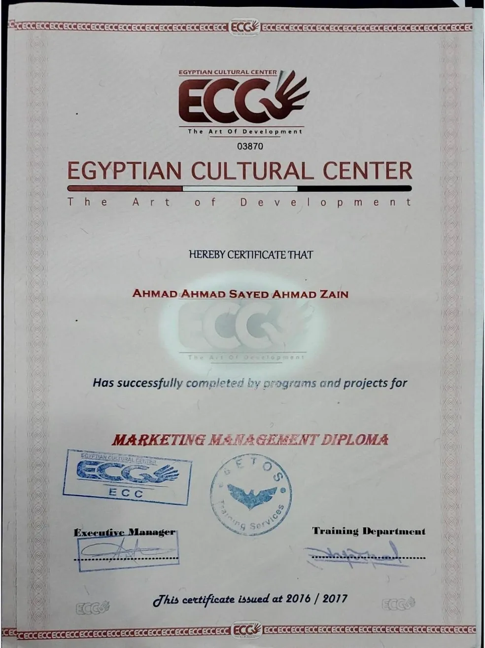 Professional Certification 20